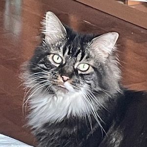 Meet your Posher, Lara